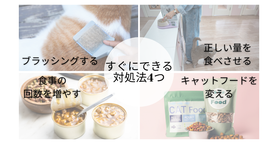 猫がよく吐く場合のすぐできる対処法4つ